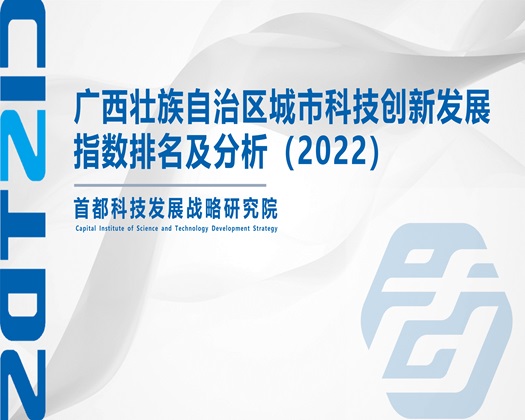 鸡巴肉棒操死你个骚逼视频【成果发布】广西壮族自治区城市科技创新发展指数排名及分析（2022）